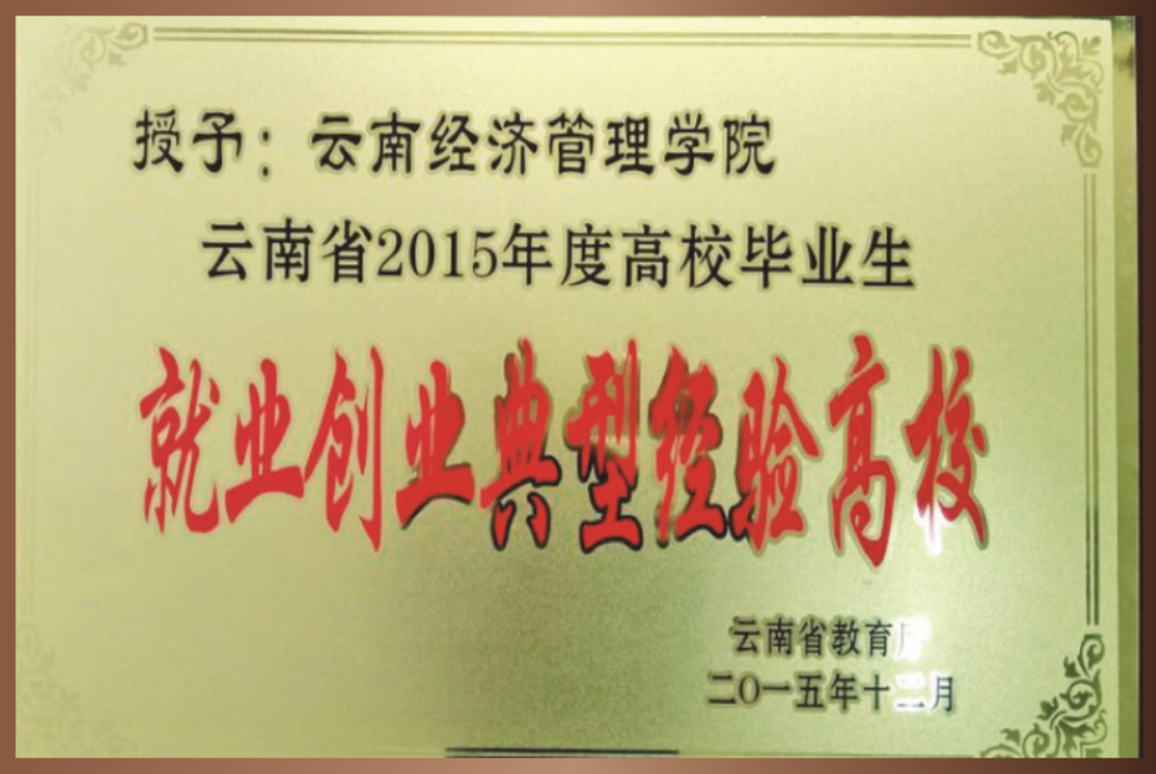 云南省2015年度高校毕业生就业创业典型经验高校